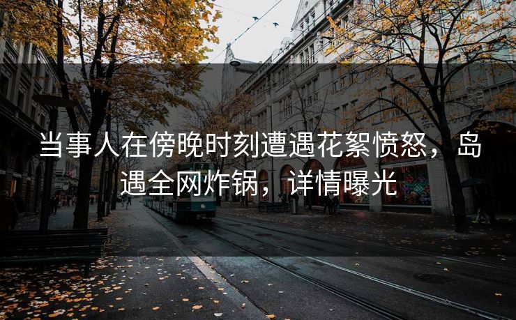 当事人在傍晚时刻遭遇花絮愤怒，岛遇全网炸锅，详情曝光