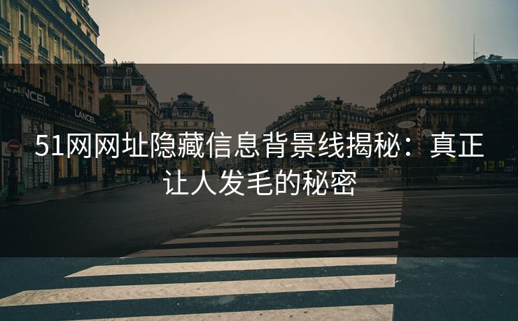 51网网址隐藏信息背景线揭秘：真正让人发毛的秘密
