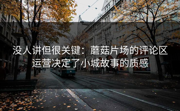 没人讲但很关键：蘑菇片场的评论区运营决定了小城故事的质感